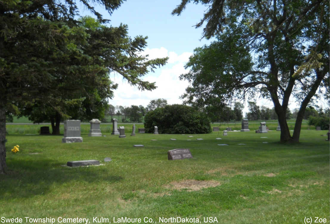 Swede Township Cemetery